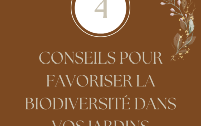 4 Conseils pour favoriser la biodiversité dans vos jardins